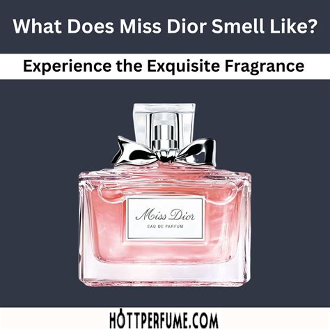 miss dior scent profile|what does Miss Dior perfume smell like.